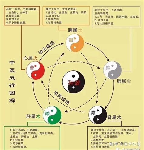 陰陽指|阴阳（中国古代哲学思想）